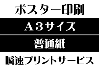 【A3サイズ】【普通紙】