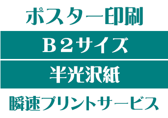 【B2サイズ】【半光沢紙】