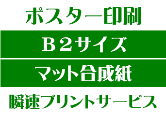 【B2サイズ】【マット合成紙】