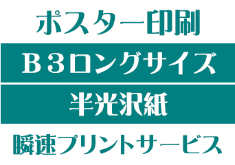 【B3ロングサイズ】【半光沢紙】