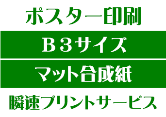 【B3サイズ】【マット合成紙】